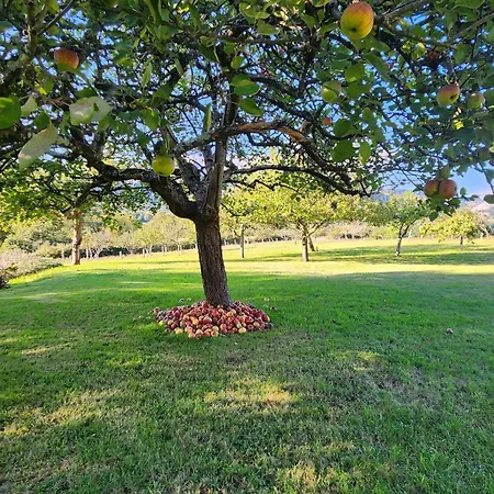 Rincon De Madagascar Vv-2192-as Arriondas