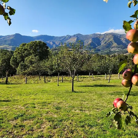 Rincon De Madagascar Vv-2192-as * Arriondas