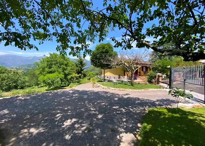 Rincon De Madagascar Vv-2192-as *