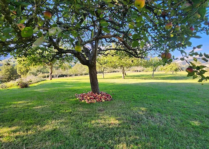Rincon De Madagascar Vv-2192-as Chalet *